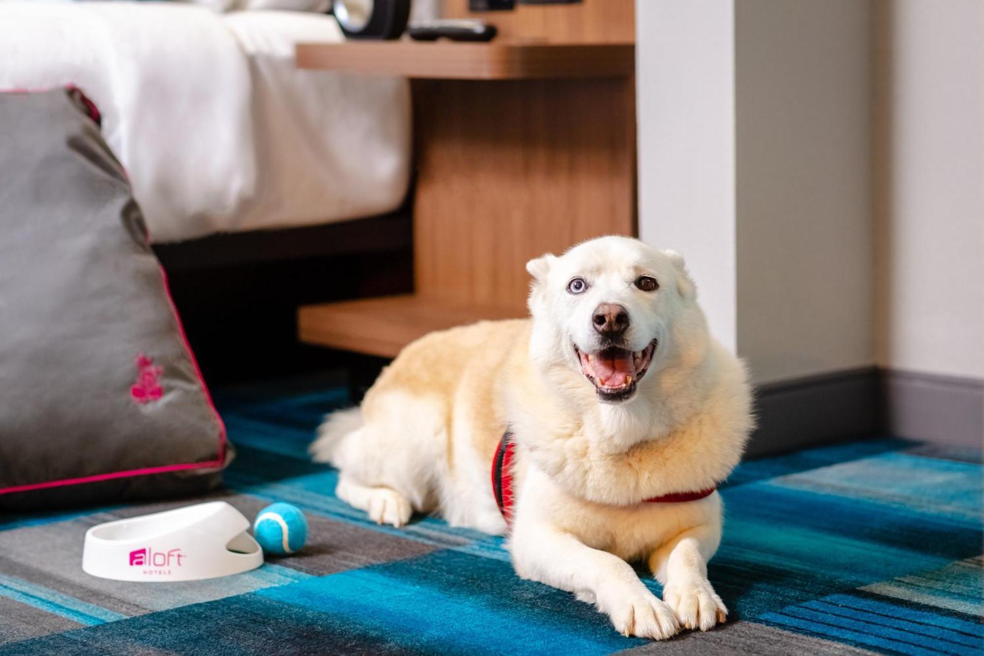 Aloft Columbia Harbison Hotel Kültér fotó